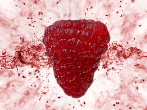 Chocolate Raspberies and Pistaccios
